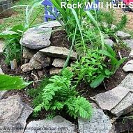 Spiral Herb Garden