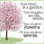 Your Mind Is A&nbsp;Garden