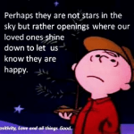 Stars