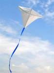 kite