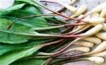 Ramps