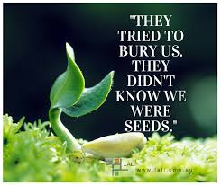 Seeds Quote