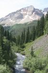 Colorado Mountain Stream