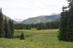 Flowering Meadow & Snow-Capped&nbsp;Mountains