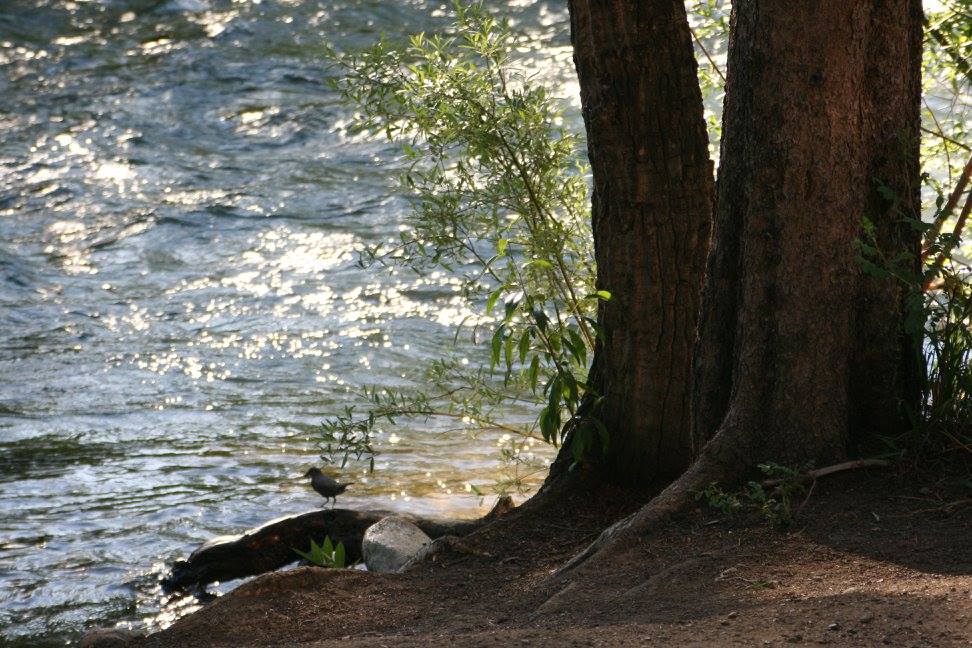 Riverside in Colorado