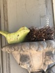 Porch Greeter Bird & Her&nbsp;Nest