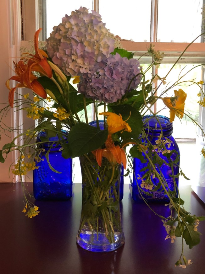 Culivated, Wild, &amp; Somewhere In Between Blooms