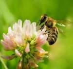 This June’s Bipolar&nbsp;Nature